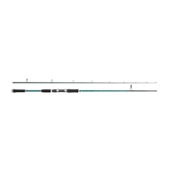 Abu Garcia Beast X Pike 842 H 30-110G Haspel