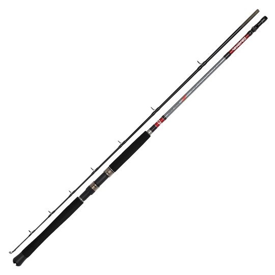 Daiwa Seahunter Z Boat spinnspö