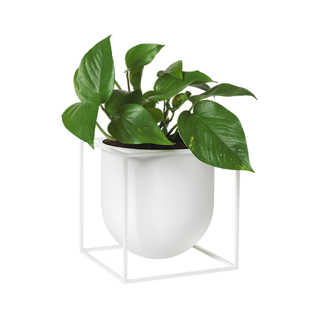 Kubus Blomkruka 23 cm Vit