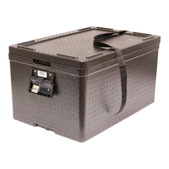 Artekno EPP Termo 47L med plasthandtag kylbox