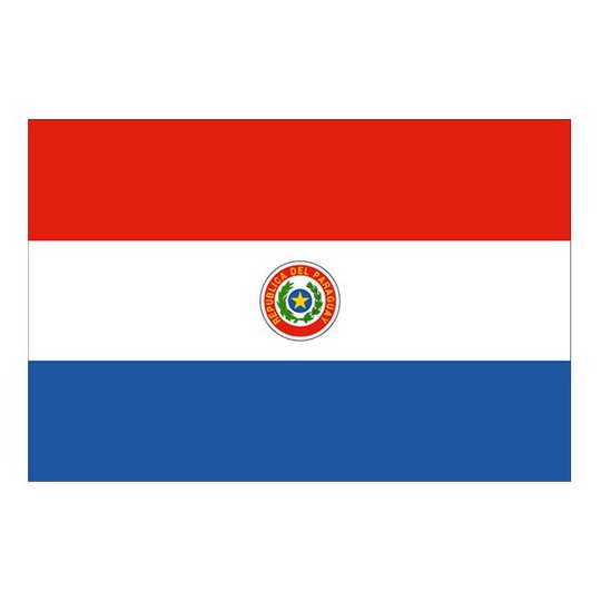 Flagga Paraguay