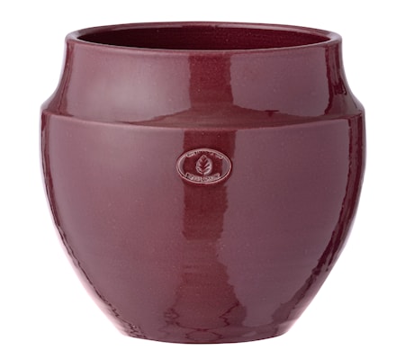 Vita Blomkruka 22cm Fikon