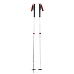 Black Diamond Expedition 2 Ski Poles