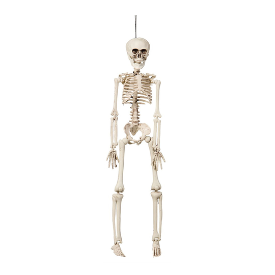 Hängande Böjbart Skelett Prop - 42 cm