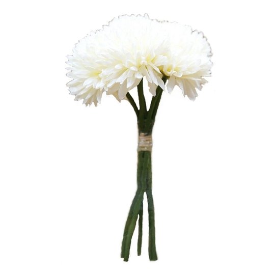 Blommor Dahlia Vita