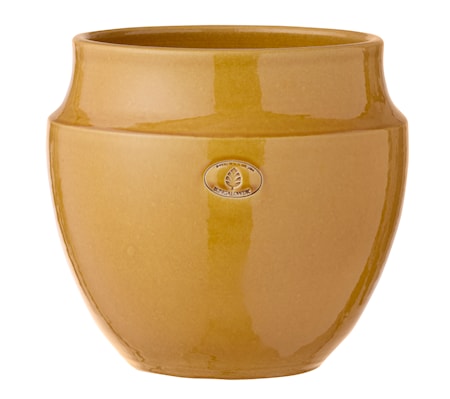 Vita Blomkruka 22cm Ockra