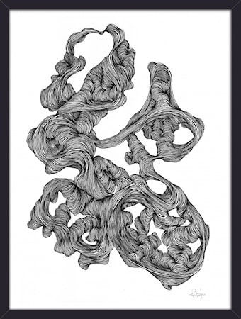 Rocaille Illustration Svart Ram