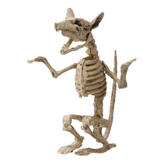 Skelettmus Prop