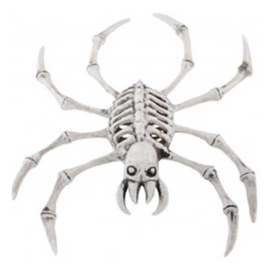 Skelett Spindel