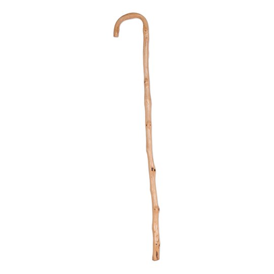Träkäpp