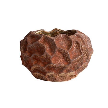 Soil Kruka Rust