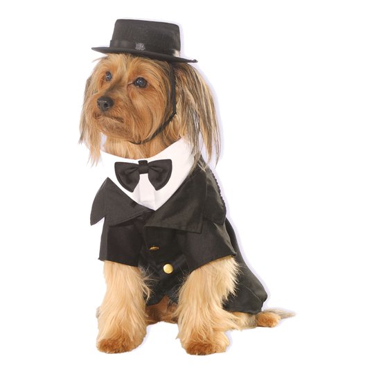 Kostym Hund Maskeraddräkt - Small