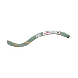 Mammut 9.9 Crag Workhorse Dry Rope
