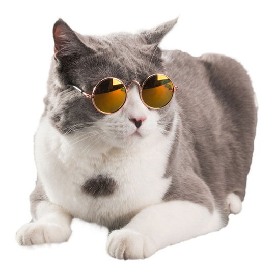 Glasögon till Katt/Hund - Gul