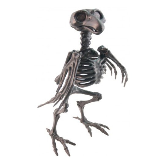 Skelett Kråka