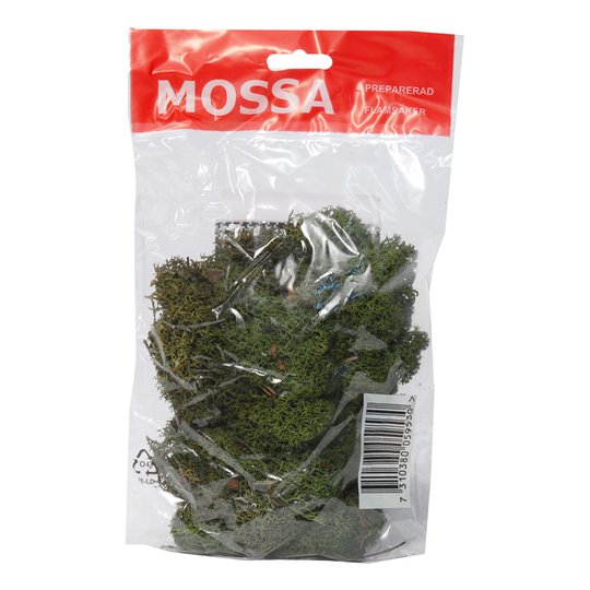 Mossa Grön - 40 gram