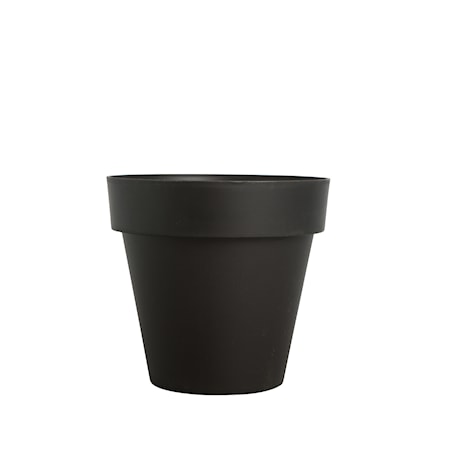 Brixton Kruka Svart S