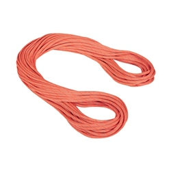 Mammut 9.8 Crag Classic Rope 70M