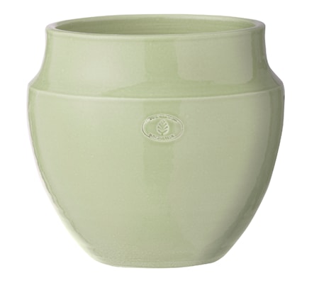 Vita Blomkruka 22cm Mint