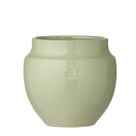 Vita Blomkruka 17cm Mint