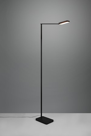 Pavia LED Golvlampa Svart