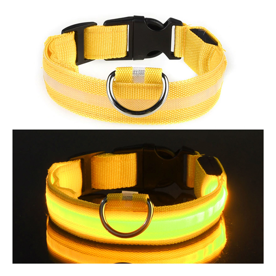 LED Hundhalsband - Gul - Small