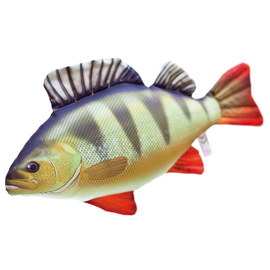 Mjukisfisk Abborre 50 cm