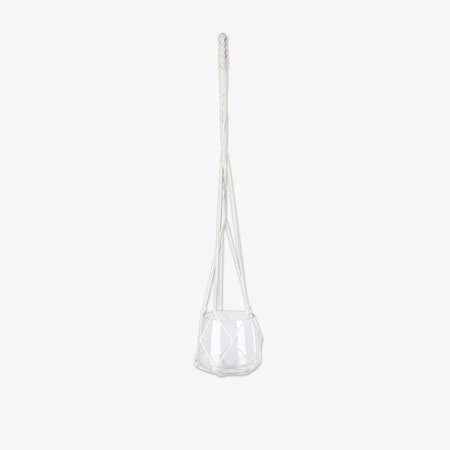 Ampel Glas Liten Natur