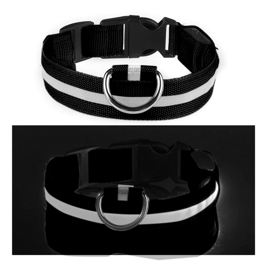 LED Hundhalsband - Flerfärgad - Small