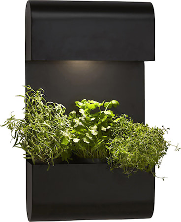 Planta Vägglampa Svart