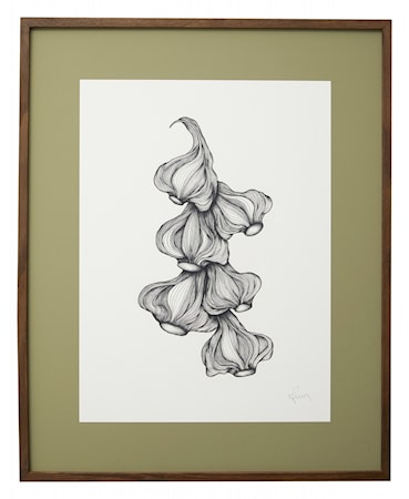 Garlic Illustration Mörk Träram