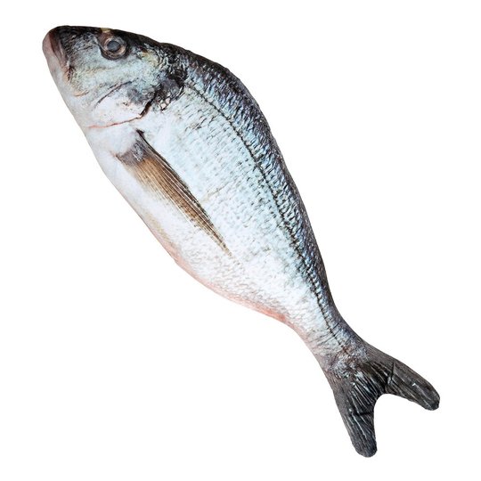 Fisk i Tyg