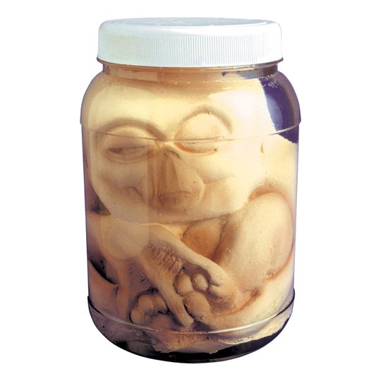 Alien Embryo i Burk