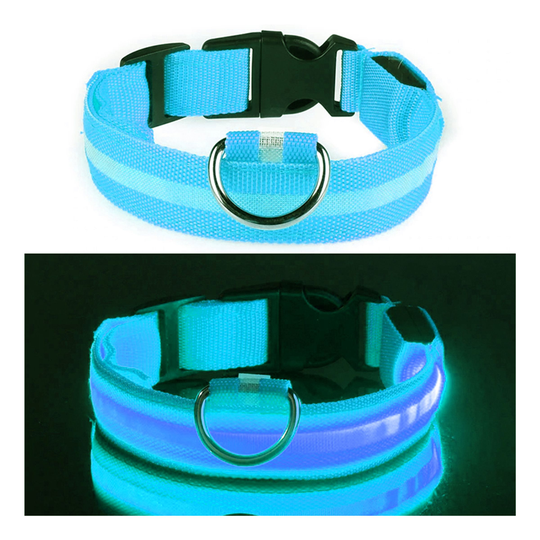LED Hundhalsband - Blå - Small
