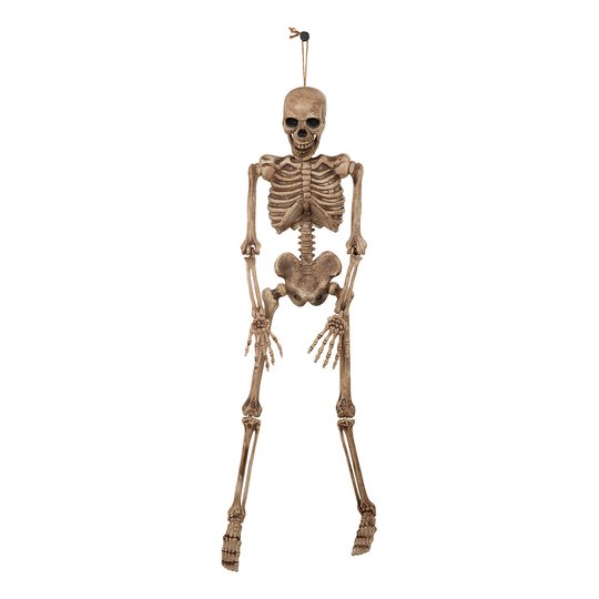 Hängande Skelett Halloween Prop