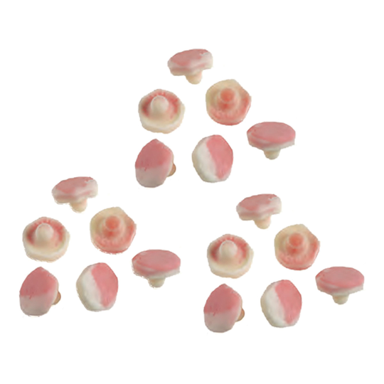 Fruktsvampar Storpack - 1,8 kg