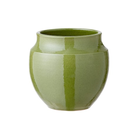 Vita Blomkruka 17cm Ormbunke