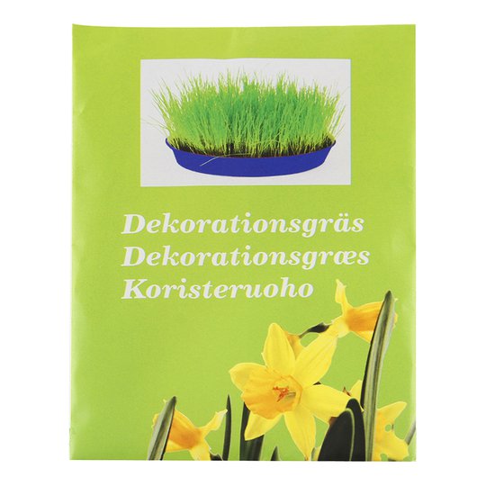 Dekorationsgräs Timotej