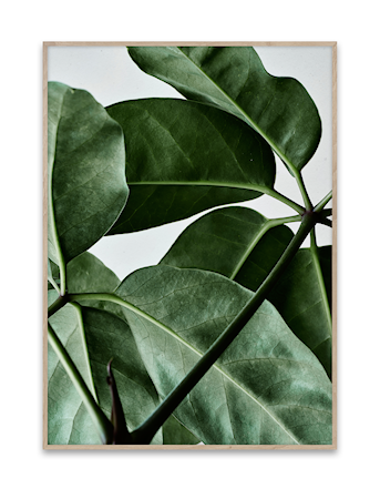 Green Home 01 Poster 30x40 cm