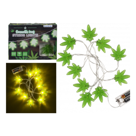 Ljusslinga Cannabis