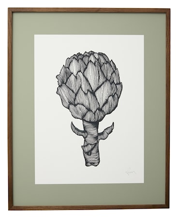Artichoke Illustration Mörk Träram