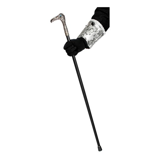 Käpp med Rovfågel