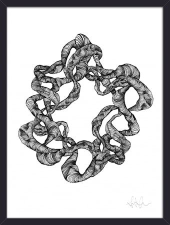 Wreath Illustration Svart Ram