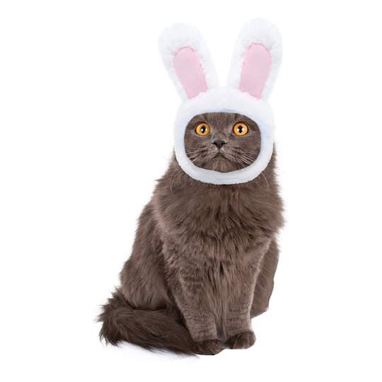 Kaninöron till Katt