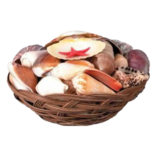 Snäckkorg
