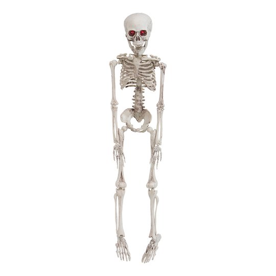 Bebisskelett Prop