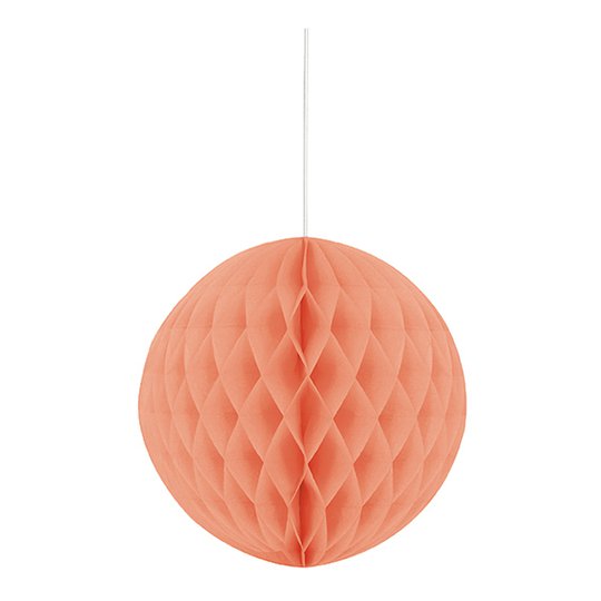 Honeycomb Korall